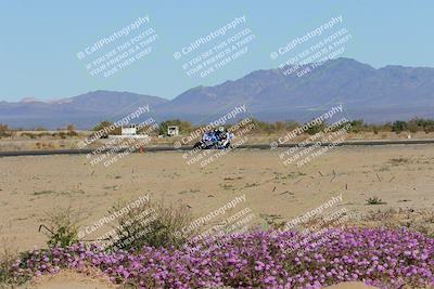 media/Jan-22-2023-CVMA (Sun) [[66d43cdebf]]/Race 11 Stock 1000 Shootout/